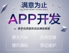 APP开发、网站建设、小程序开发、软件定制