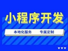 小程序开发制作/网站建设/分销商城开发/公众号开发/软件开发