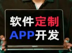 app开发 H5商城小程序开发 网站搭建系统制作定制设计