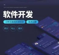 网站建设，软件开发，小程序/APP开发