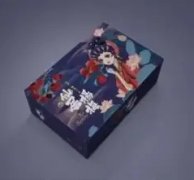 高端平面设计：海报/折页/画册/LOGO/动图/AI等